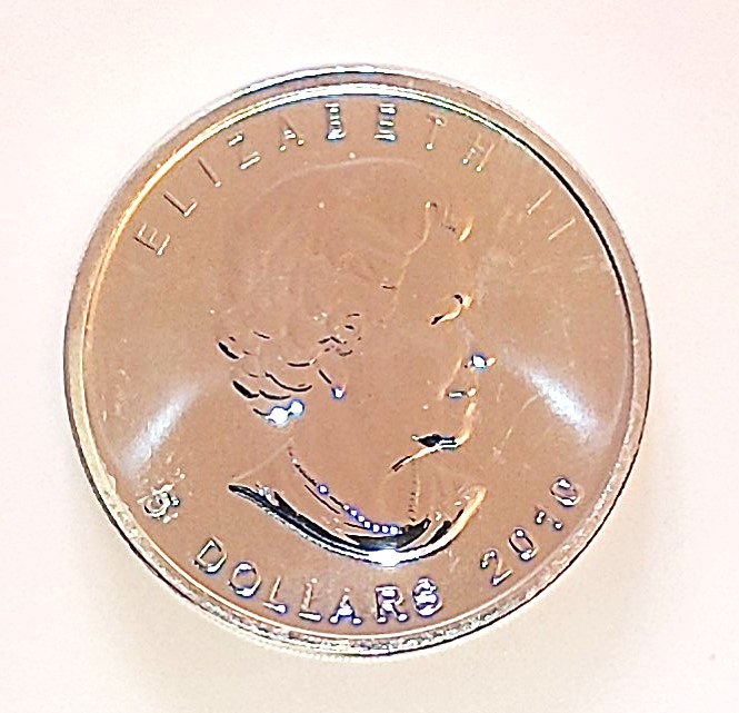 2010 Canadian Maple Leaf $5 Silver Bullion Coin 1oz Back